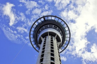 Sky Tower, Auckland, New Zealand, Oceania