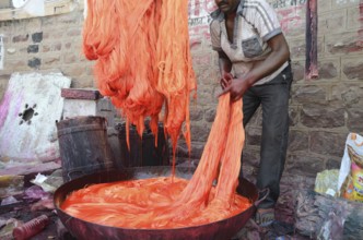 Man dyeing silky thread, jodhpur, rajasthan, india, asia