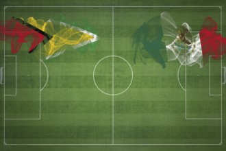 Guyana vs Mexico Soccer Match, national colors, national flags, soccer field, football game,