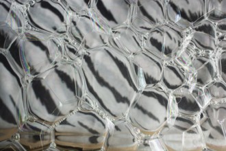 Oil bubbles inside water base form patterns
