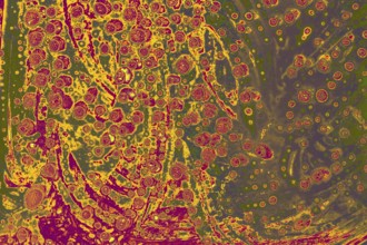 Air bubbles inside water base form patterns
