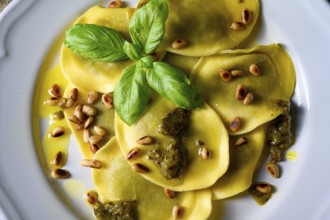 Vegetarian in Italian! Tortelli with roasted pine nuts and pesto basilico