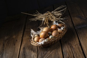 Fresh eggs straight from the farm in a basket