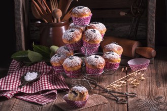 Blueberries muffins