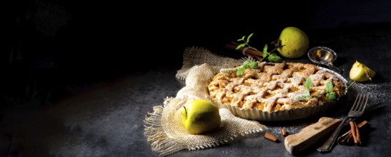 Tasty Apple pie with lattice upper crust