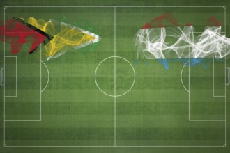 Guyana vs Luxembourg Soccer Match, national colors, national flags, soccer field, football game,