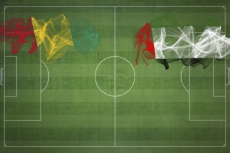 Guinea vs United Arab Emirates Soccer Match, national colors, national flags, soccer field,