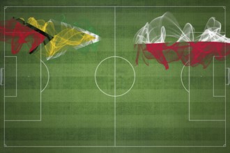 Guyana vs Poland Soccer Match, national colors, national flags, soccer field, football game,