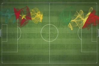 Cameroon vs Congo Soccer Match, national colors, national flags, soccer field, football game,