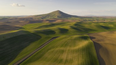 Steptoe Butte State Park is up there somewhere on top of the bluff surrounded by Palouse Country