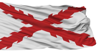 Cross Of Burgundy Flag, Isolated On White Background