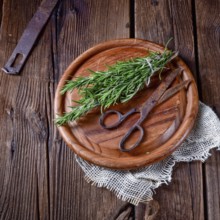 Rosmarin (Rosmarinus officinalis)