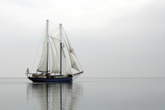 On the Little Belt at low tide, Baltic Sea, Denmark, Europe