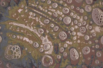 Air bubbles inside water base form patterns