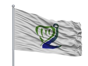 Coast Guard Ireland Flag On Flagpole, Isolated On White Background
