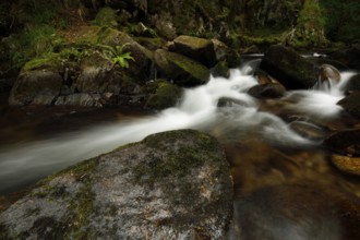 Around the stone