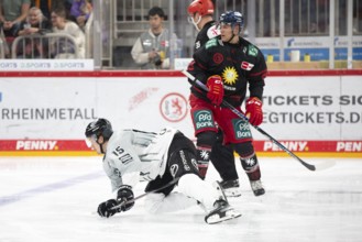 PSD Bank Dome, Düsseldorf, North Rhine-Westphalia, Louis- Marc Aubry (Koelner Haie, #15), PENNY