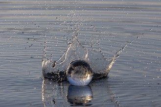 A glass sphere creates water droplets with a dynamic water crown, Mindelheim, Allgäu, Bavaria,