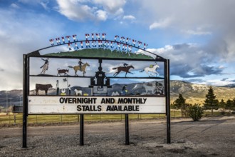 Advertising sign, Ely, Nevada, USA, North America