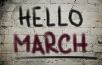 Months Of The Year Concept