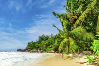 The Beach Anse Georgette at Praslin Island, Seychelles, Indian Ocean, Africa