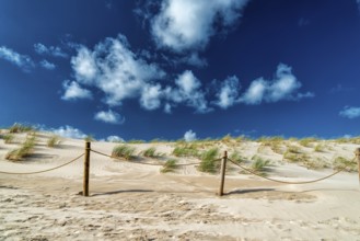 Dunes on the Baltic Sea with marram grass