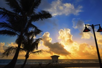 Fort Lauderdale beach morning sunrise in Florida USA palm trees