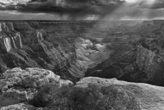 Cape Royal Afternoon, North Rim of the Grand Canyon, Grand Canyon National Park, Arizona