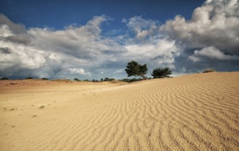 Sand dune textures and stormy sky in summer