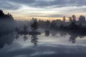 Foggy dawn in the Wenger Moor, an upland moor in Salzburger Land, Austria, Europe