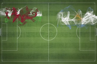 Wales vs Argentina Soccer Match, national colors, national flags, soccer field, football game,