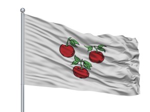 Karasuk City Flag On Flagpole, Country Russia, Novosibirsk Oblast, Isolated On White Background