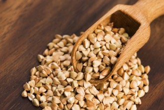 Buckwheat with a spoon on a wooden board background