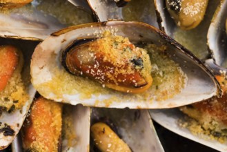 Delicious Fresh Clams with herbs