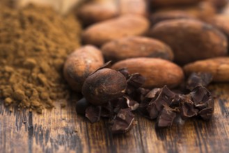 Cacao beans and cacao powder in spoon