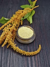 Groats amaranth in a clay bowl, brown flower with green leaves on a background of wooden boards