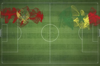 Montenegro vs Senegal Soccer Match, national colors, national flags, soccer field, football game,