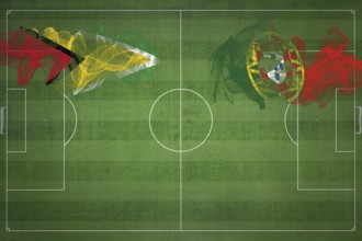 Guyana vs Portugal Soccer Match, national colors, national flags, soccer field, football game,