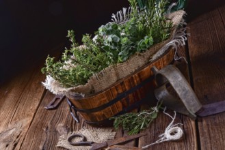 Herbal collection of: thyme, oregano, rosemary