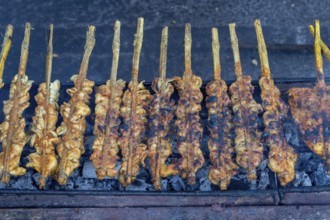 Saté skewers on a barbecue, weekly market in Kuah, Langkawi, Kedah state, Malaysia, Southeast Asia,