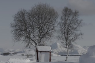 Lofoten, snowfall, winter, Offersoy, norway