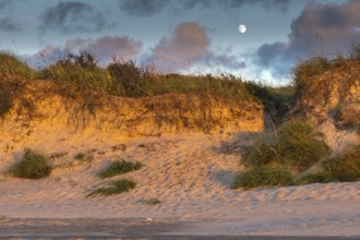 Sunset at the North Sea beach of Denmark with beautiful light on a summer day. Sunset at the North
