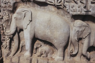 Close up of statue at Mamallapuram, Mahabalipuram, Tamil Nadu, India, Asia