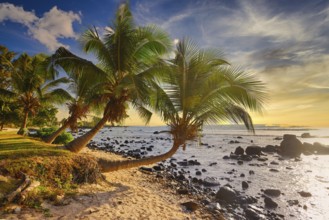 Island Mauritius, Indian Ocean, Africa, Mauritius, Africa