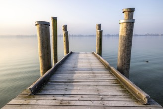 A narrow wooden jetty with posts juts out into a misty, calm lake, harbour, Allensbach,