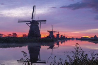 Sunrise on the KInderdijk, Netherlands