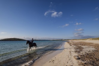 Illetes beach, riding a horse, Formentera, Pitiusas Islands, Balearic Community, Spain, Europe