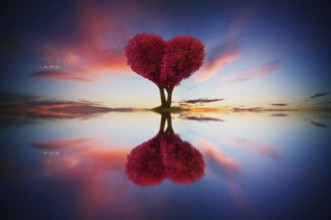 Abstraktes Bild von einsam rotem Farbblatt und Liebe Form Baum bei Sonnenaufgang Szene mit
