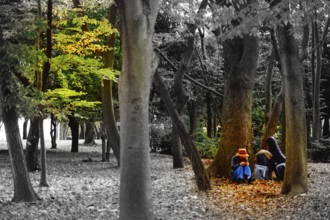 Comparison of autumn. Shooting Location: Chofu, Tokyo