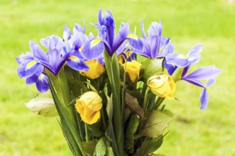 Bouquet of Spring Flowers